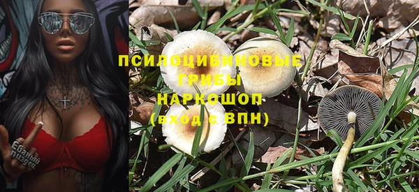 кокс Аркадак