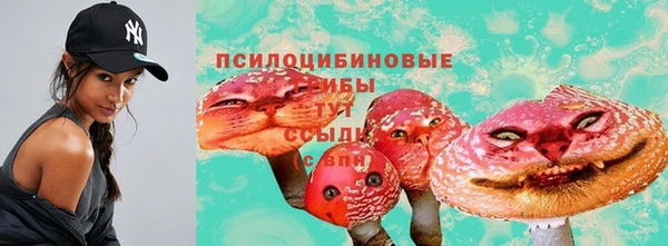 бошки Балахна
